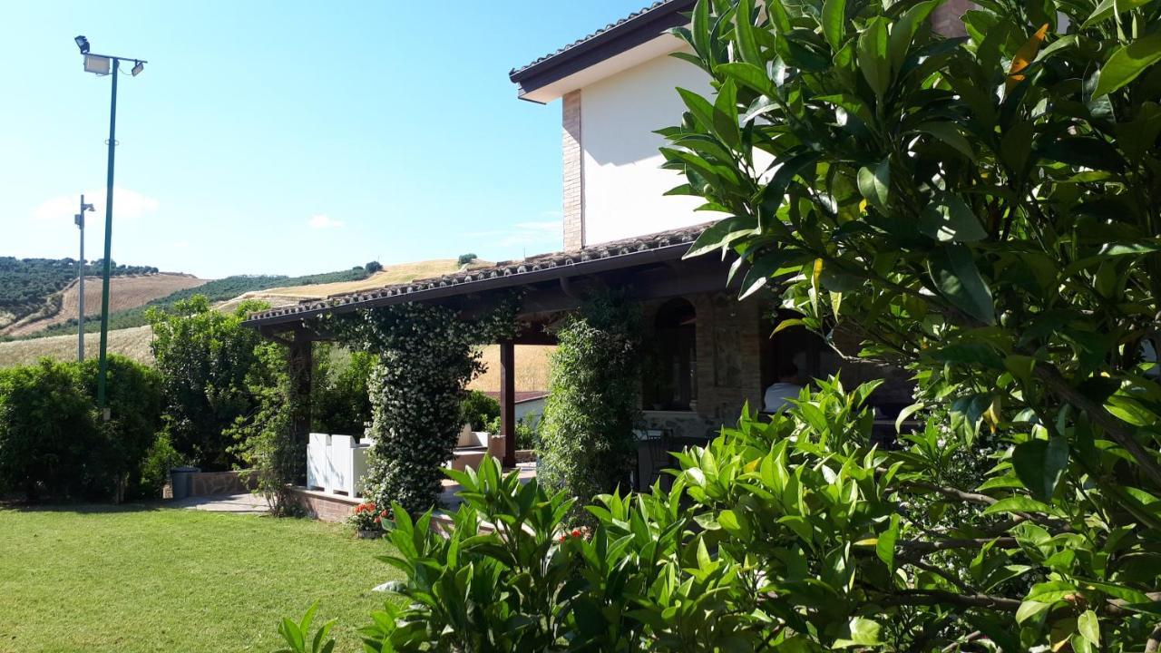 Agriturismo Trappeto Vecchio San Demetrio Corone Esterno foto