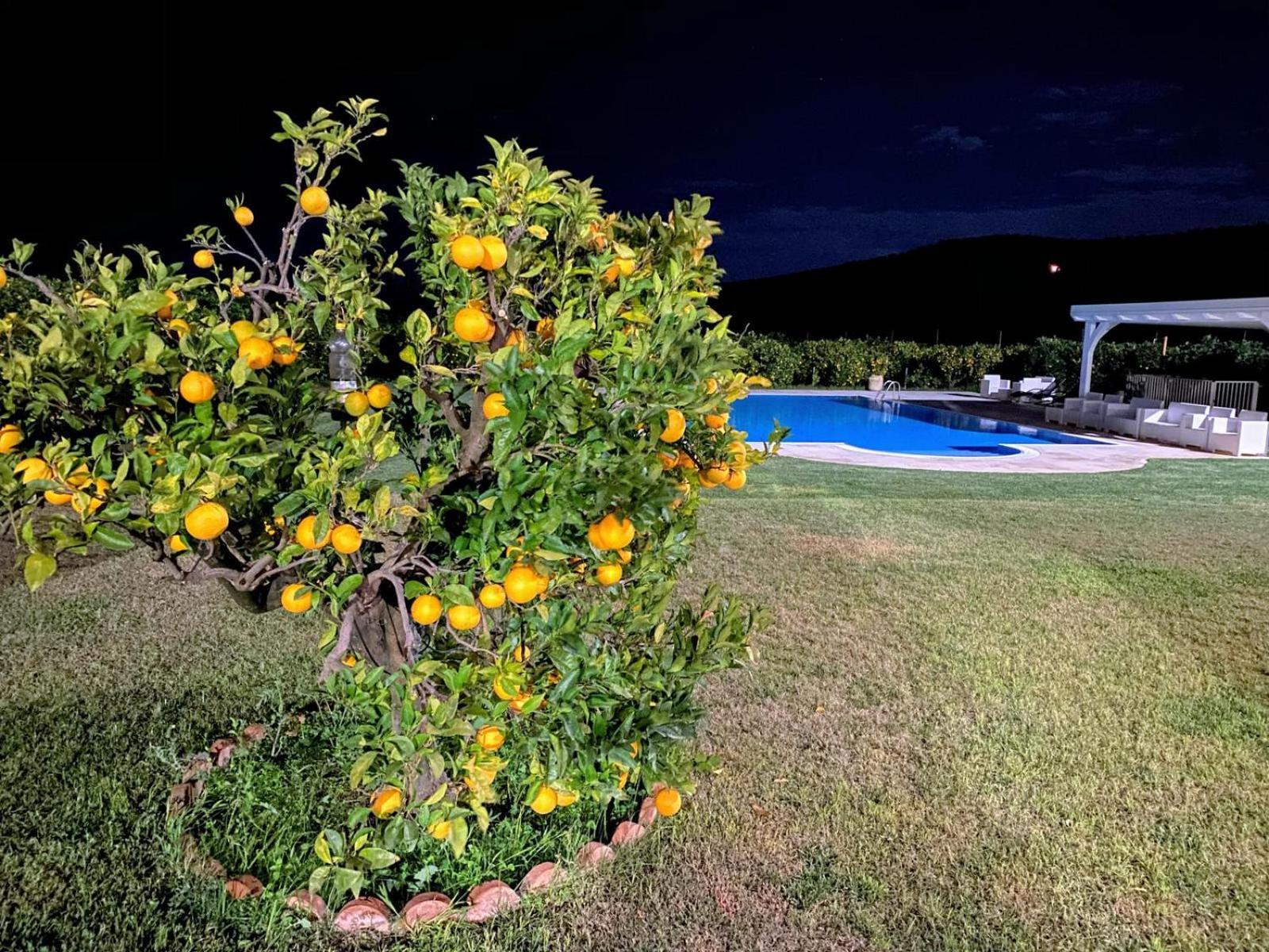 Agriturismo Trappeto Vecchio San Demetrio Corone Esterno foto