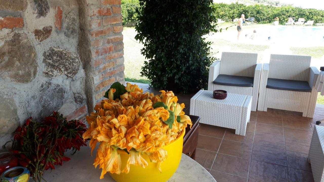 Agriturismo Trappeto Vecchio San Demetrio Corone Esterno foto